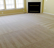 Clean carpet